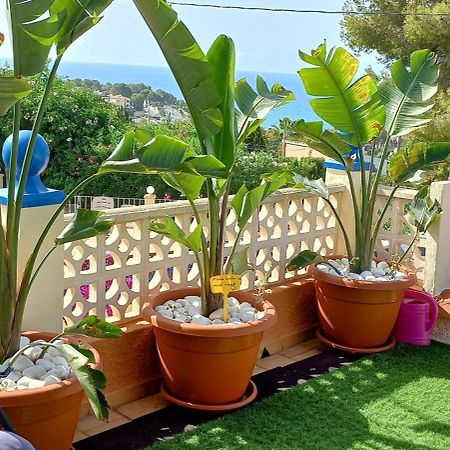 Villa Mimosa モライラ エクステリア 写真