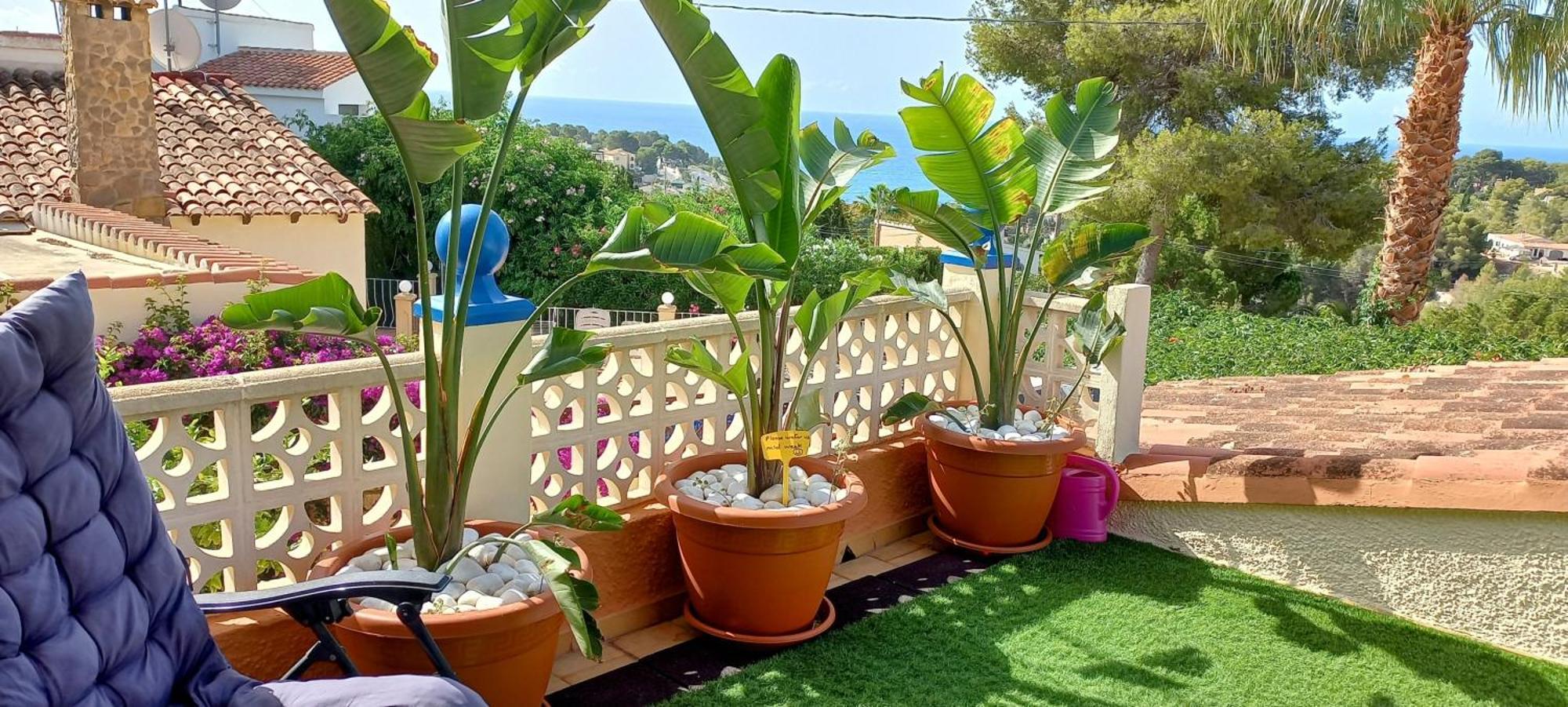Villa Mimosa モライラ エクステリア 写真